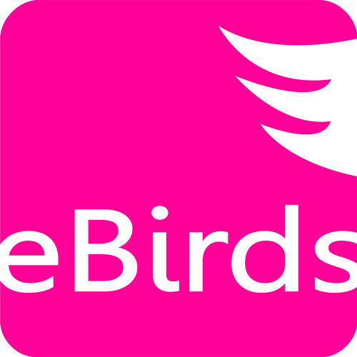 eBirds - http://www.ebirds.nl